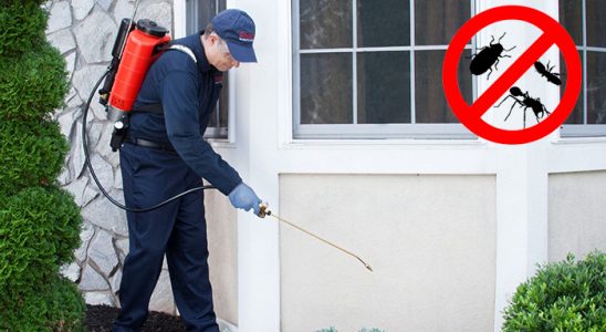 Yahyalı Fare İlaçlama böcek ilaçlama ve haşere kontrolü — ilaclama-tr.com